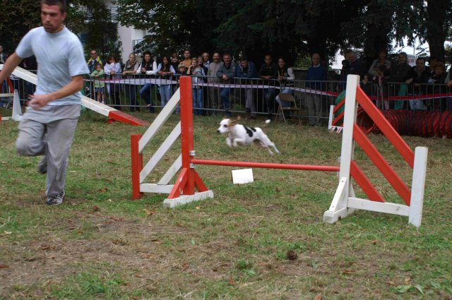 foire-haricots 2011-09-17et18